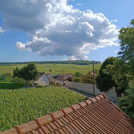 Gite Independant Diz'Enreves Au Coeur Des Vignes Дизи Экстерьер фото